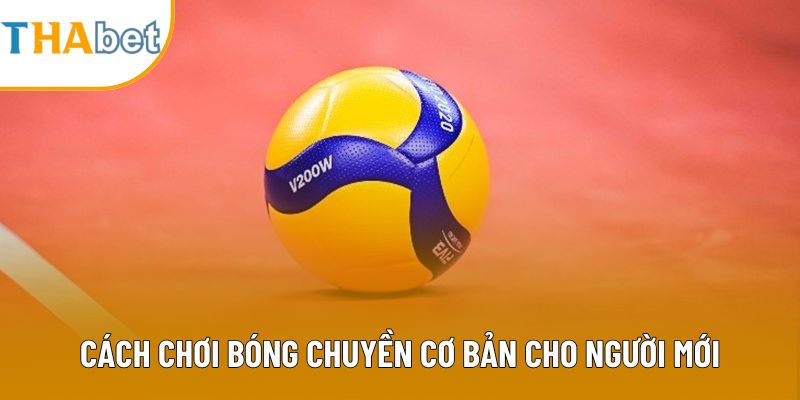 Cách chơi bóng chuyền cơ bản cho người mới