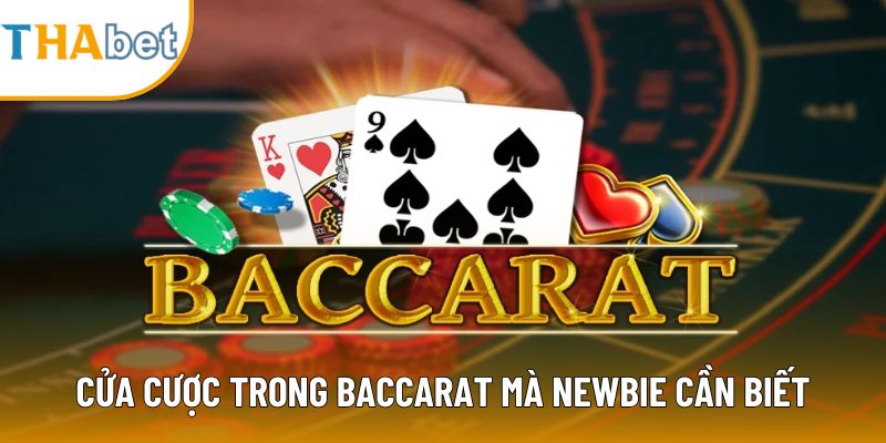 Cửa cược trong baccarat mà newbie cần biết