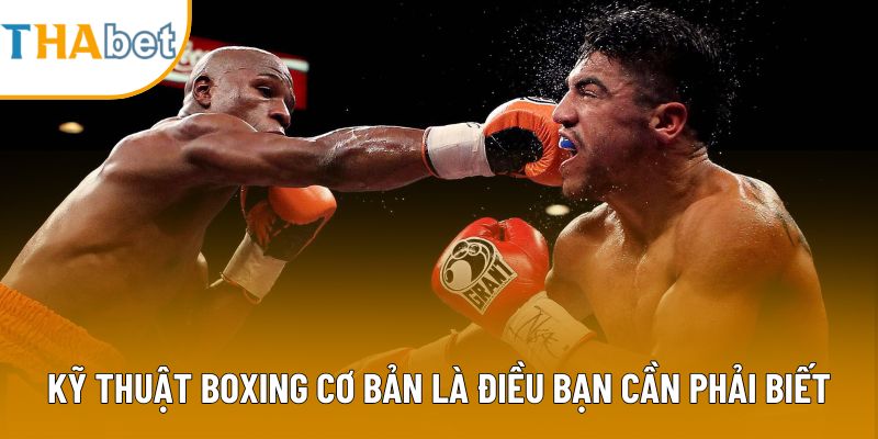 Kỹ thuật boxing cơ bản là điều bạn cần phải biết