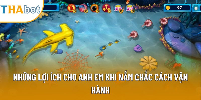 Những lợi ích cho anh em khi nắm chắc cách vận hành