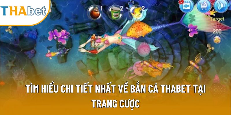Tìm hiểu chi tiết nhất về bắn cá Thabet tại trang cược