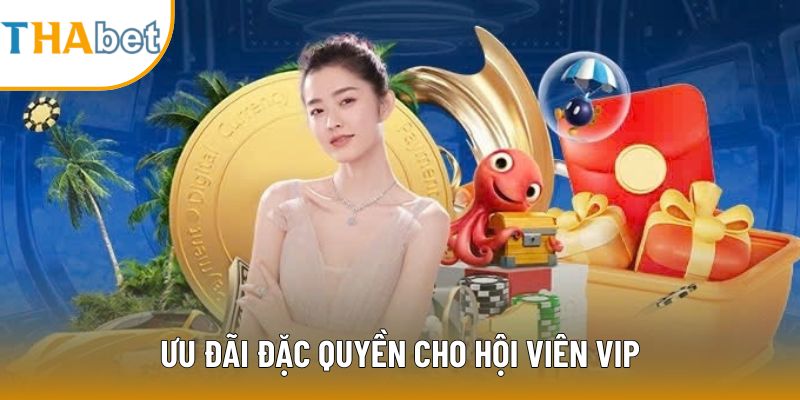 Ưu đãi đặc quyền cho hội viên VIP