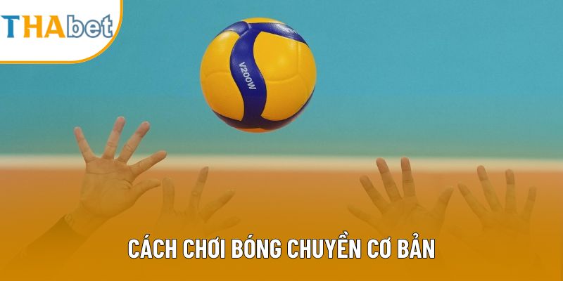 Cách Chơi Bóng Chuyền Cơ Bản: Hướng Dẫn Cho Người Mới