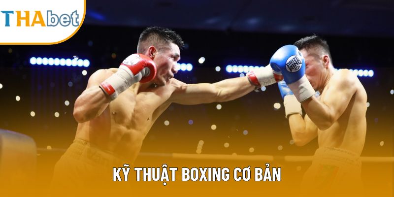 Kỹ Thuật Boxing Cơ Bản: Hướng Dẫn Chi Tiết Cho Tân Binh
